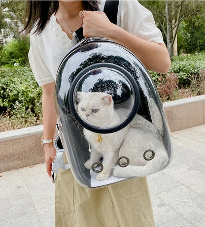 Mochila Coloá Horizonte — Cápsula para Transporte Pet