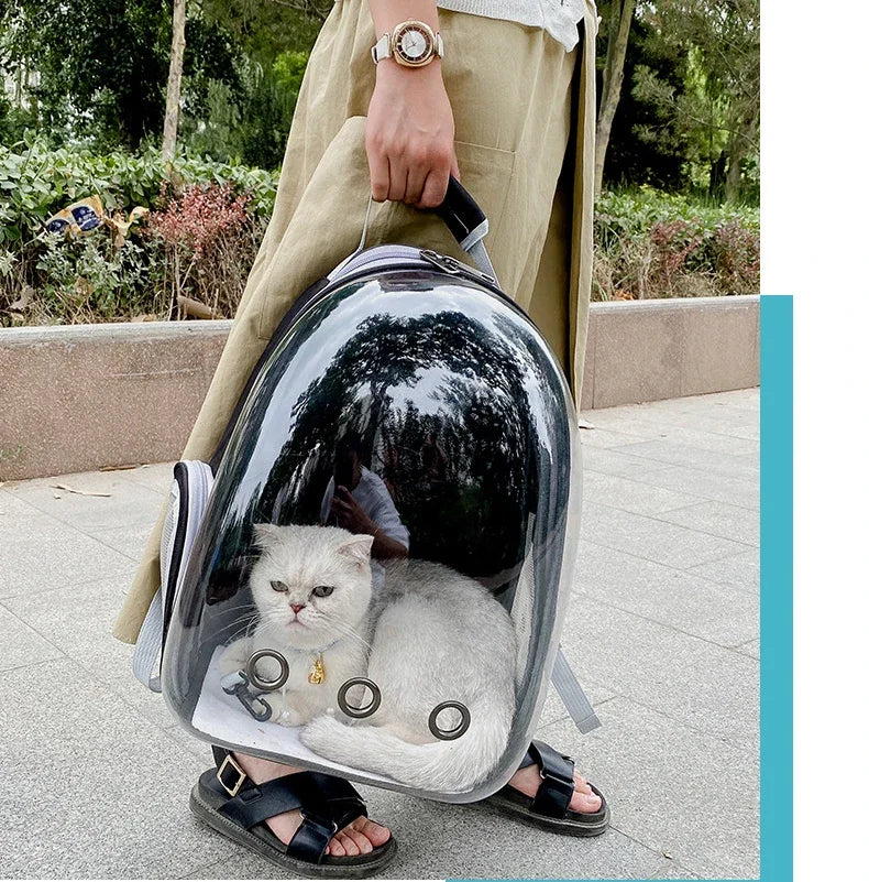 Mochila Coloá Horizonte — Cápsula para Transporte Pet