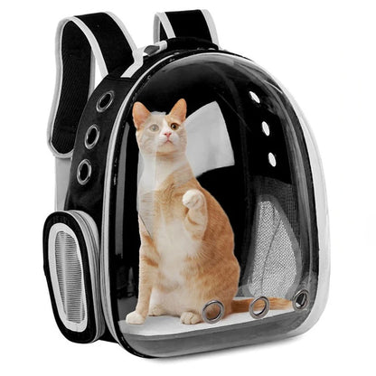 Mochila Coloá Horizonte — Cápsula para Transporte Pet