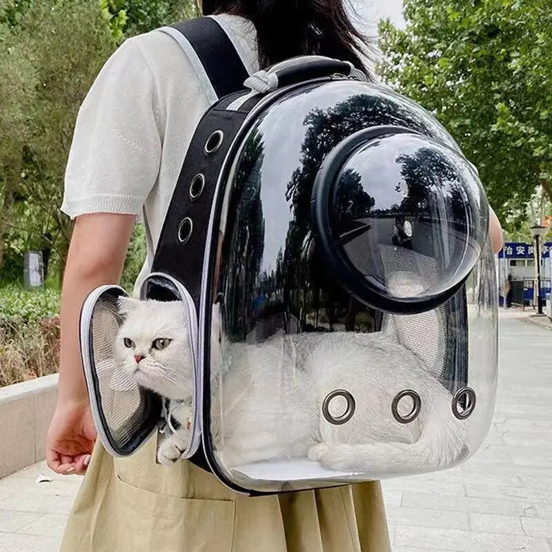 Mochila Coloá Horizonte — Cápsula para Transporte Pet