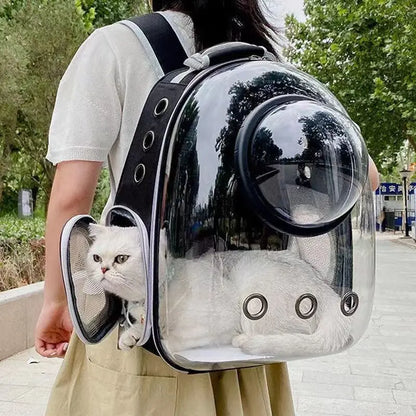 Mochila Coloá Horizonte — Cápsula para Transporte Pet