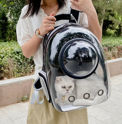 Mochila Coloá Horizonte — Cápsula para Transporte Pet