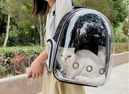 Mochila Coloá Horizonte — Cápsula para Transporte Pet