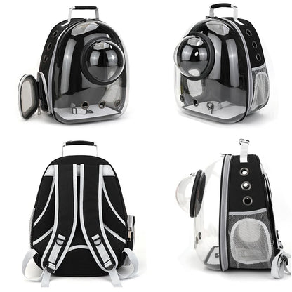 Mochila Coloá Horizonte — Cápsula para Transporte Pet